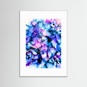 Sea of blue flowers