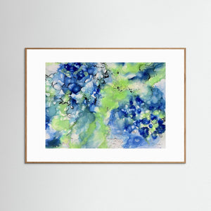 Hydrangeas